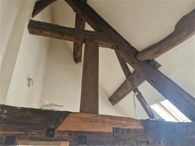 Picture 19